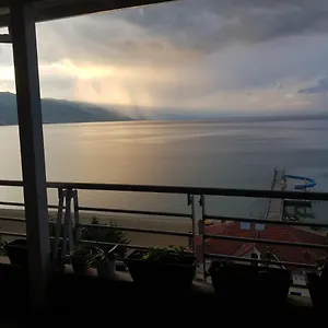 Kelvi's Pogradec